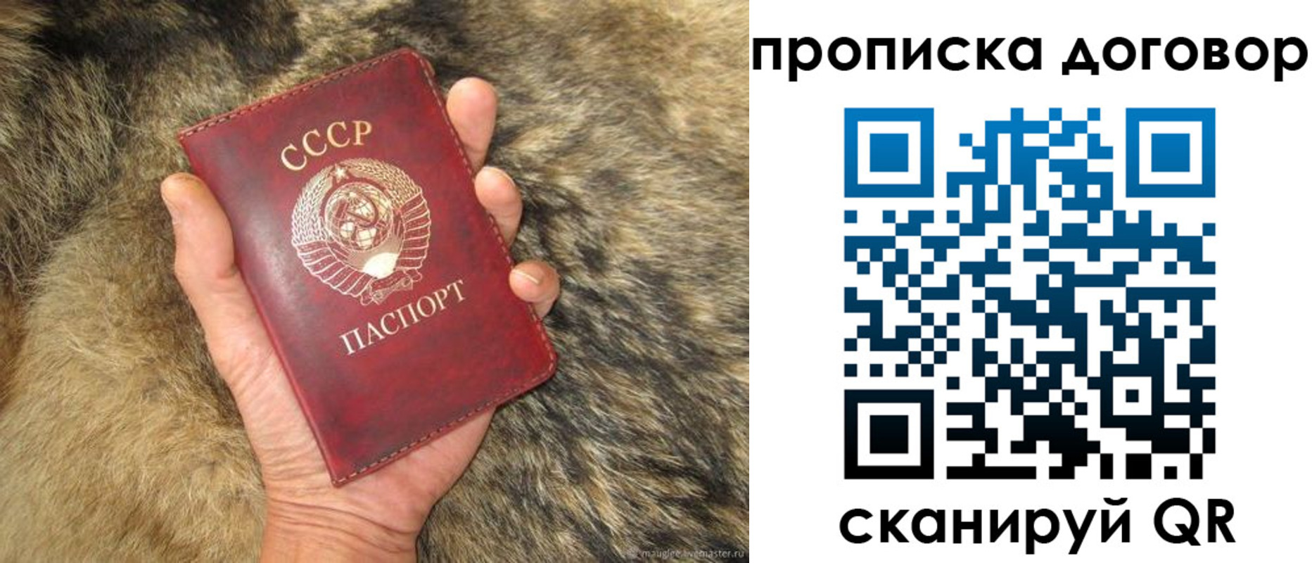 прописка регистрация в Алексеевке